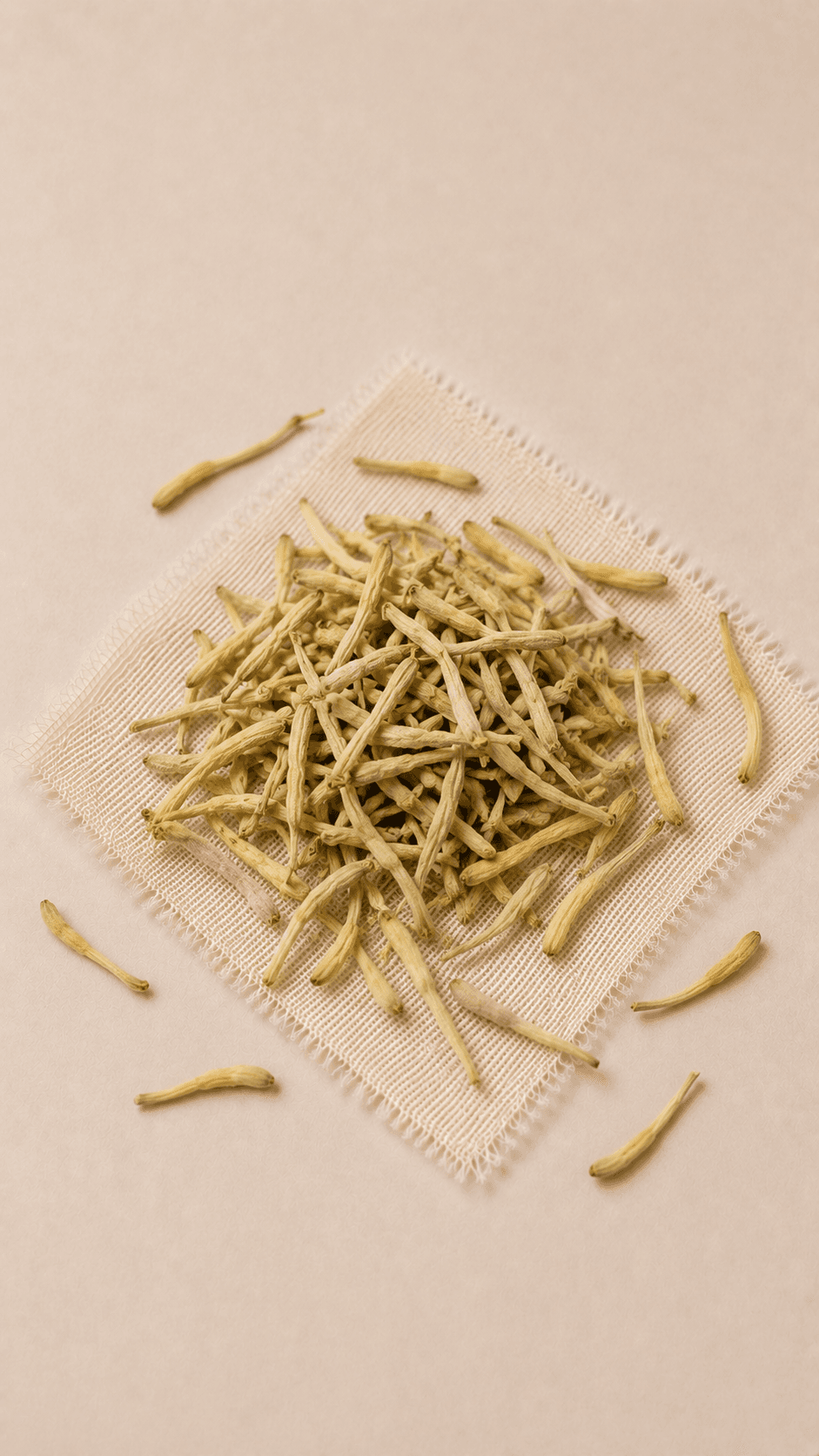Photo of Honeysuckle