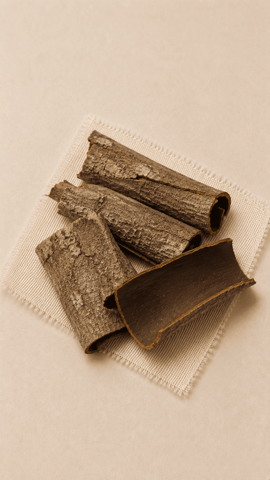 Photo of Magnolia Bark